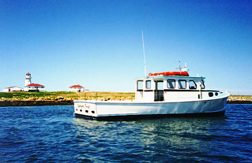 The BARBARA FROST with Machias Seal Island Light in background